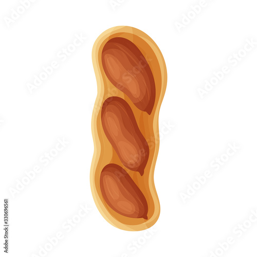 Fresh peanuts closeup. Colorful simple flat cartoon style. Isolated vector illustration.