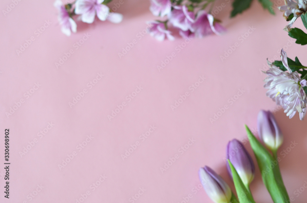 purple and lilac flowers and tulips on a pink background. spring, summer concept, background for cards and cosmetics