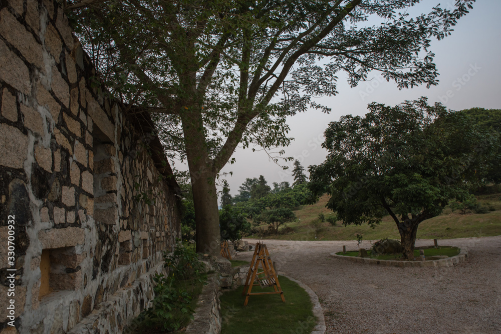 Obraz premium The trees in the park make up a beautiful view