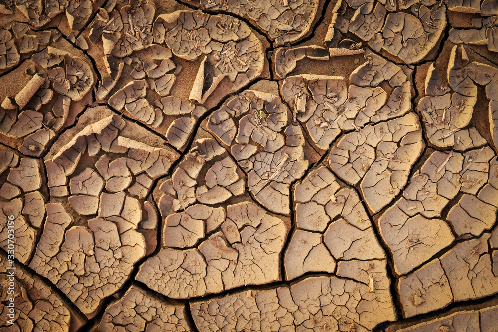 Fototapeta premium Dried cracked earth soil ground texture background. Mosaic pattern of sunny dried earth soil