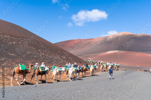 Caravan walking in Timinfaya National Park, Lanzarote, Canary Islands, Spain photo