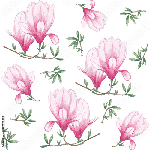 Watercolor seamless pattern of magnolia  vintage flowers bouquet  floral spring composition  branches and leaves  botanical watercolor illustration on white background. For textile  wallpaper design.