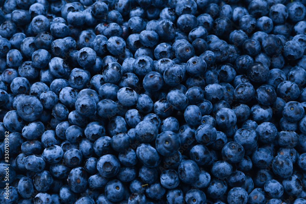 Fresh blueberry background. Texture blueberry berries close up.