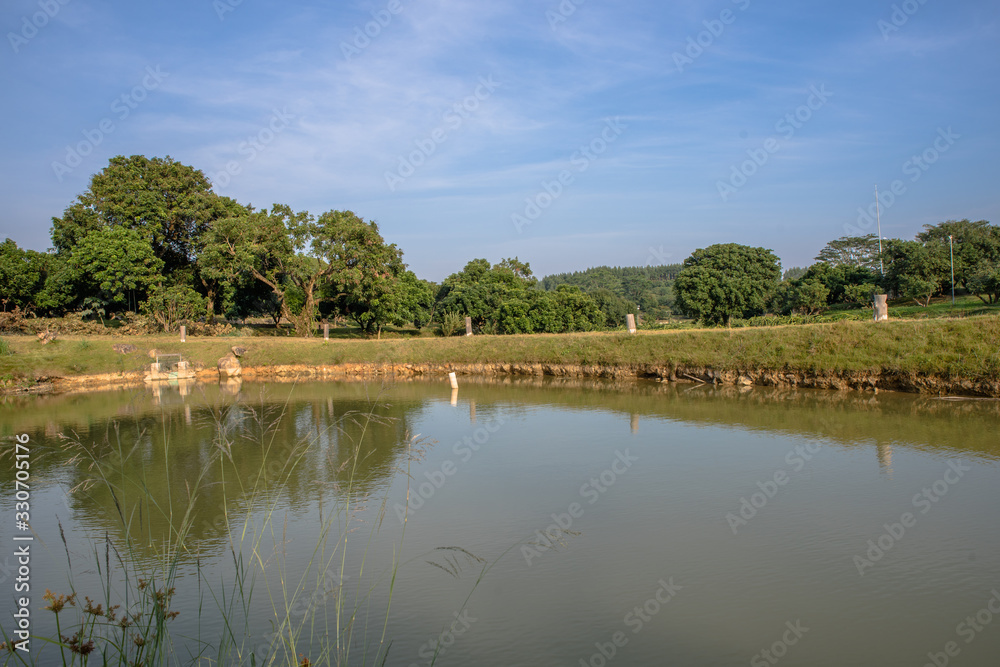 The country river reflects the trees The country river reflects the trees