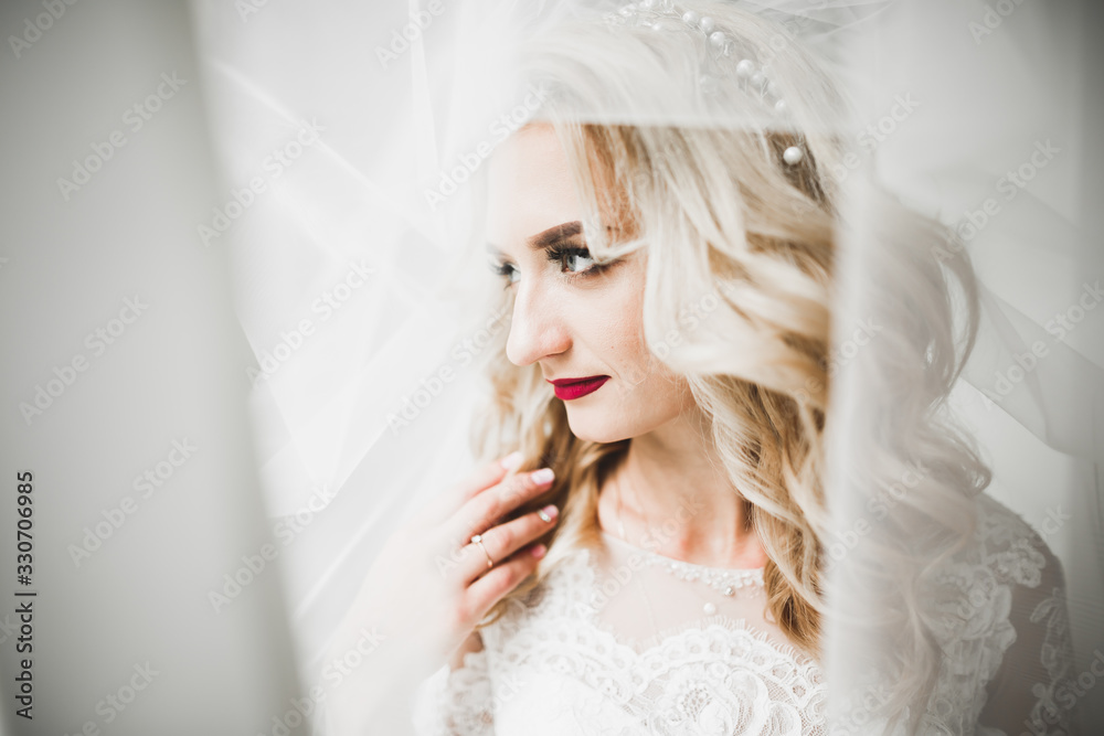 Beautiful bride wearing fashion wedding dress with feathers with luxury delight make-up and hairstyle, studio indoor photo shoot Beautiful bride wearing fashion wedding dress with feathers with luxury delight make-up and hairstyle, studio indoor photo shoot