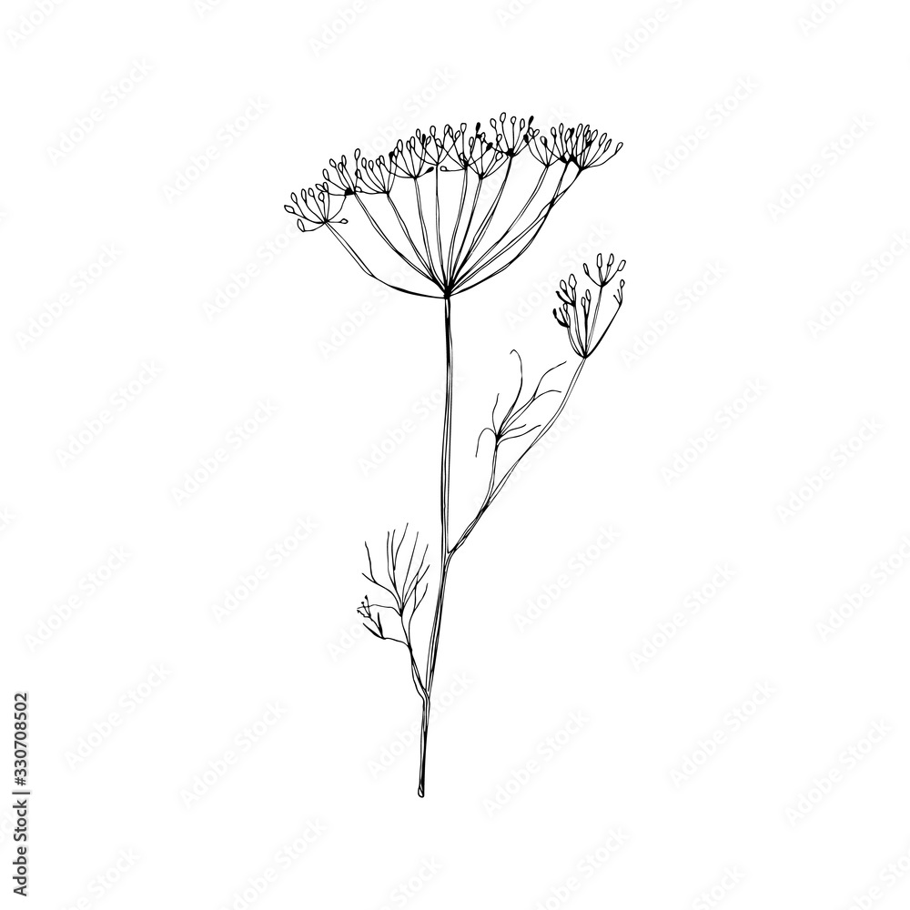 Flower hand drawn flat illustration. Botanical design elements. Vector ...