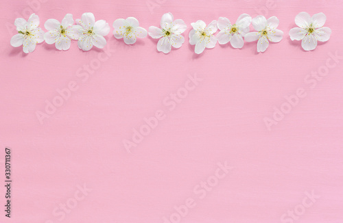 Tree flowers border on pink background. Spring blooming