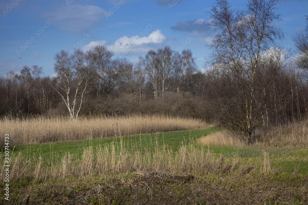 National Park the Weerribben Overijssel Netherlands. De Wetering. Nederland. Peetlands and reedfields. De Wieden. National Park the Weerribben Overijssel Netherlands. De Wetering. Nederland. Peetlands and reedfields. De Wieden.