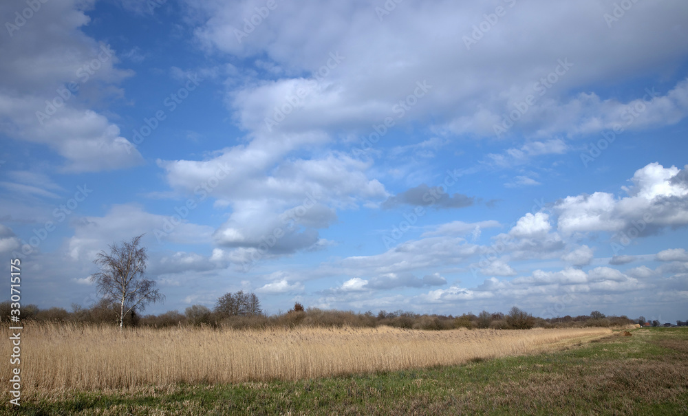 National Park the Weerribben Overijssel Netherlands. De Wetering. Nederland. Peetlands and reedfields. De Wieden.