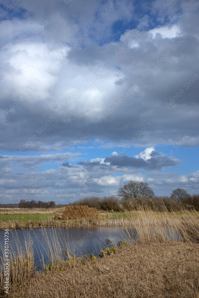 National Park the Weerribben Overijssel De Wieden. Netherlands. De Wetering. Nederland. Peetlands and reedfields.
