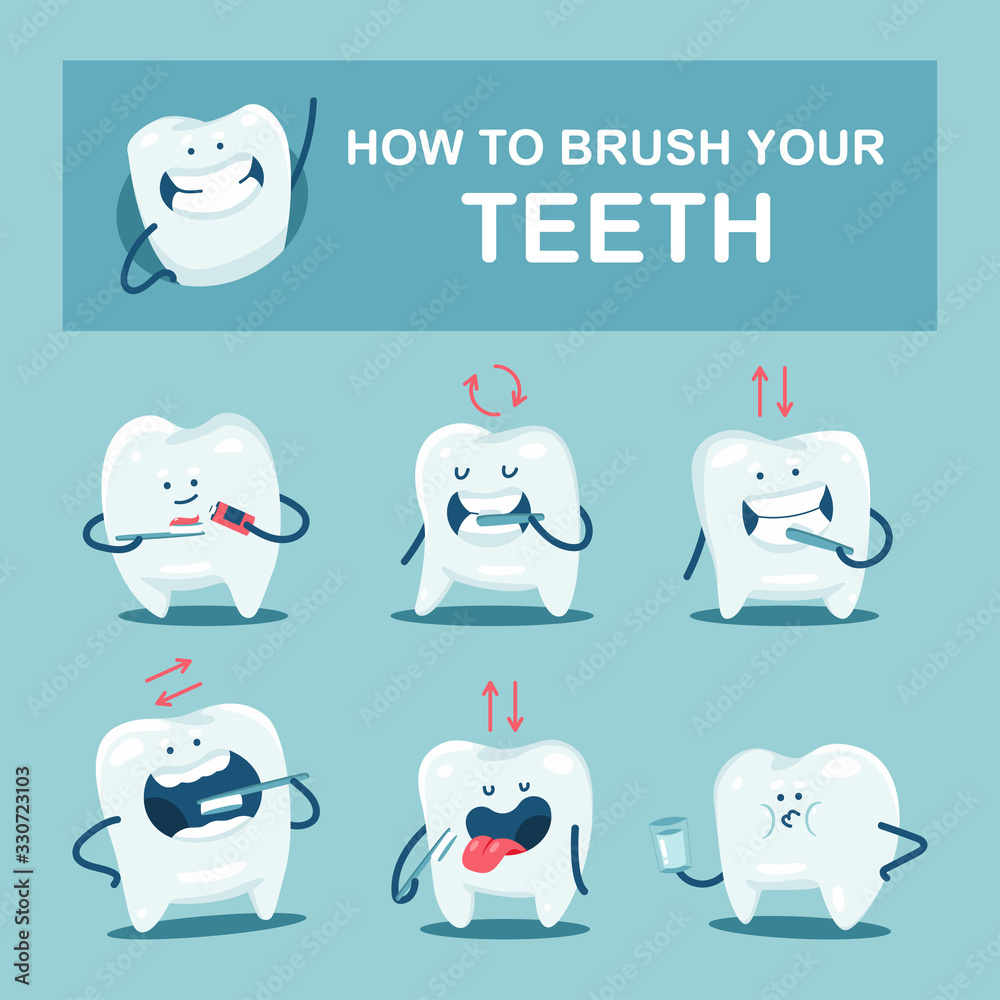 How to brush your teeth guide vector cartoon illustration with cute ...