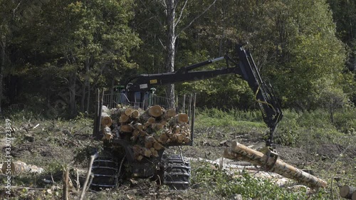 Log hydraulic crane machine forwarder loading logs to truck. Deforestation for Industrial production, mechanical gripper loading lumber on to truck for transportation. Forest cutting concept photo