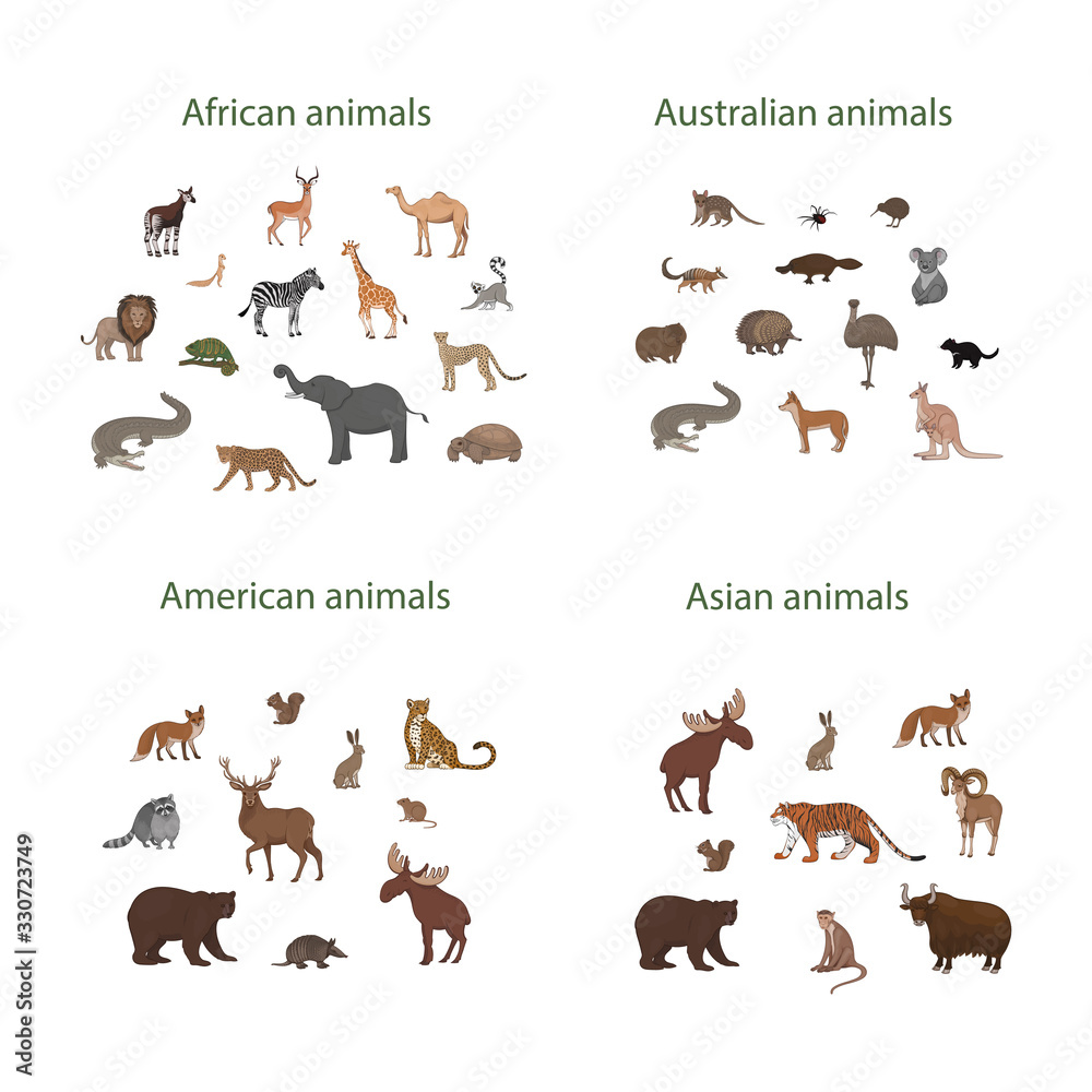 Obraz premium Vector set of cartoon African, American, Asian and Australian animals. Okapi, impala, lion, chameleon, zebra, lemur jaguar armadillo deer raccoon fox echidna squirrel hare koala crocodile elk