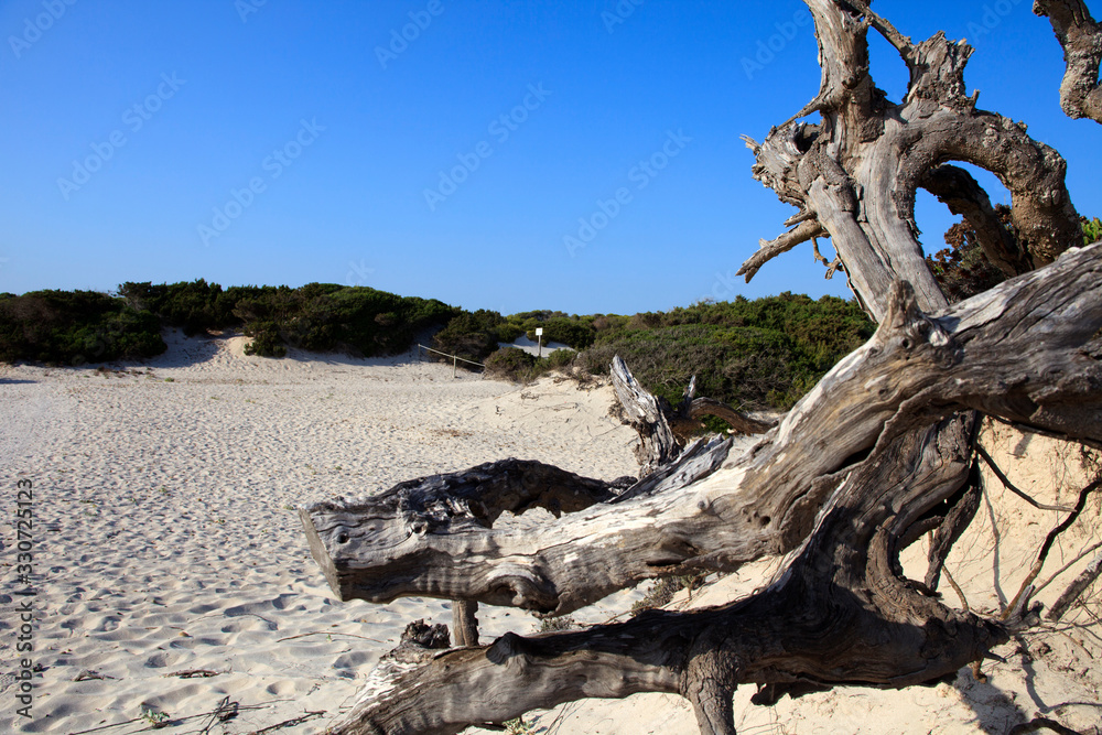 Es Trenc, Majorca / Spain - August 25, 2016: Es Trenc beach, Colonia de Sant Jordi, Mallorca, Balearic Islands, Spain.