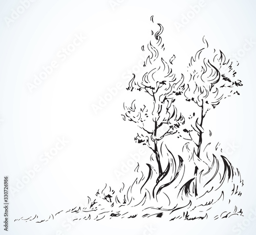 Burning forest. Vector drawing sketch