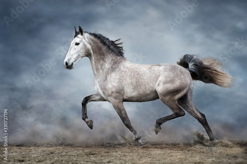 White horse run © callipso88
