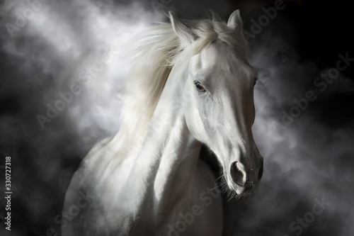 White horse on black
