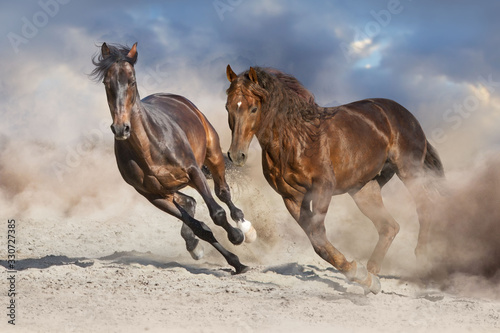 Fototapeta Naklejka Na Ścianę i Meble -  horses on the beach