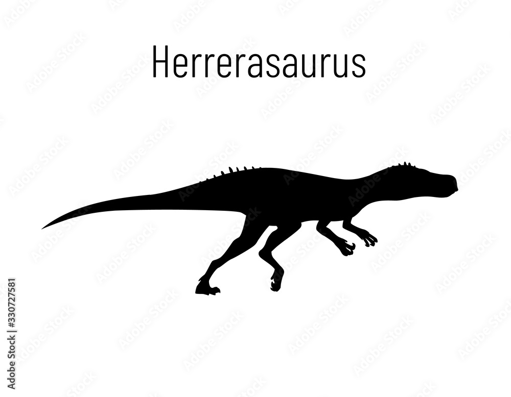Obraz premium Herrerasaurus. Theropoda dinosaur. Monochrome vector illustration of silhouette of prehistoric creature herrerasaurus isolated on white background. Stencil. Fossil dinosaur.