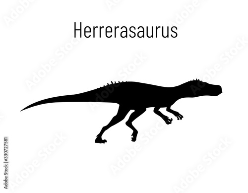 Herrerasaurus. Theropoda dinosaur. Monochrome vector illustration of silhouette of prehistoric creature herrerasaurus isolated on white background. Stencil. Fossil dinosaur. © tinkivinki