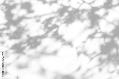 Blurred overlay effect for for natural light photo effects. Gray shadows of cherry tree blooming branches on a white wall. Abstract neutral nature concept background for design presentation. 