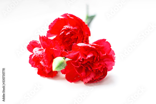 Bright three red carnation flowers on a white background.