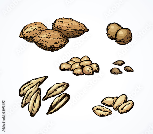 Series of vector illustrations of archaeological finds. Remains of linen, fruit stones and seeds