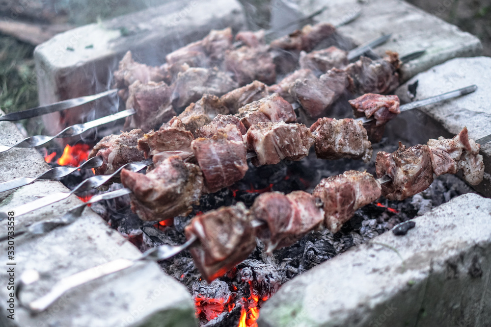 Roasted meat on the fire. Camping cooking kebab. Barbecue Roasted meat on the fire. Camping cooking kebab. Barbecue