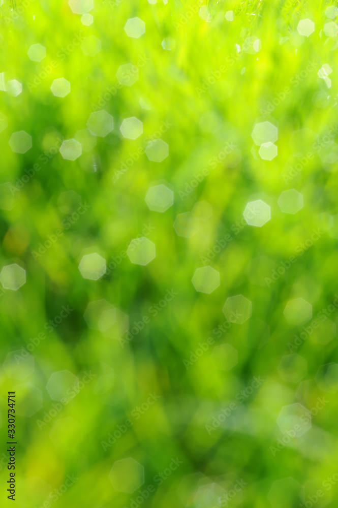 Beautiful green background of a green lawn with soft bokeh and some highlights due to the white hard bokeh stars as a result from the reflexion of water drops at the grass blades perfect background