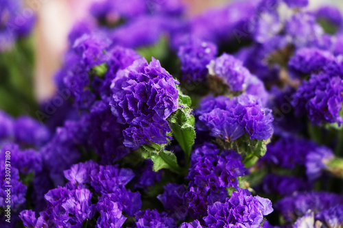  Purple flowers