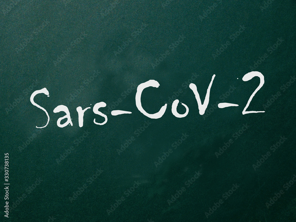 Fototapeta premium Coronavirus Sars-CoV-2