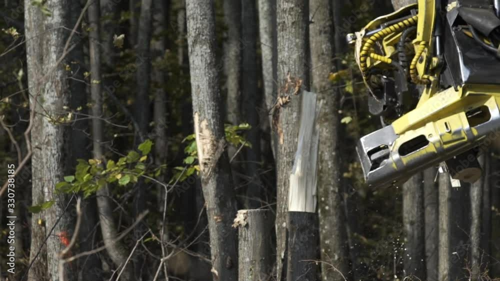 Mechanical maschine's arm cuts a freshly chopped tree trunk in a forest. --------------------------- Mechanical maschine's arm cuts a freshly chopped tree trunk in a forest. ---------------------------
