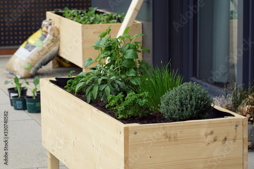 Fotobehang home made raised bed with different herbs on a balcony