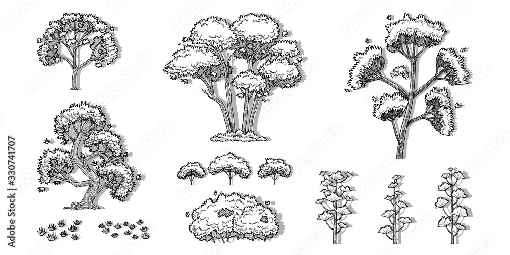 hand drawn tree vector set hand drawn tree vector set