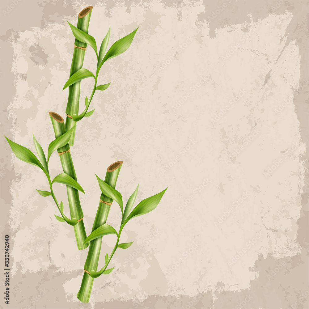 Wektor zielony łodygi i liście bambusa z pustą przestrzenią dla twoich życzeń. <span>plik: #330742940 | autor: kattidirenko</span>