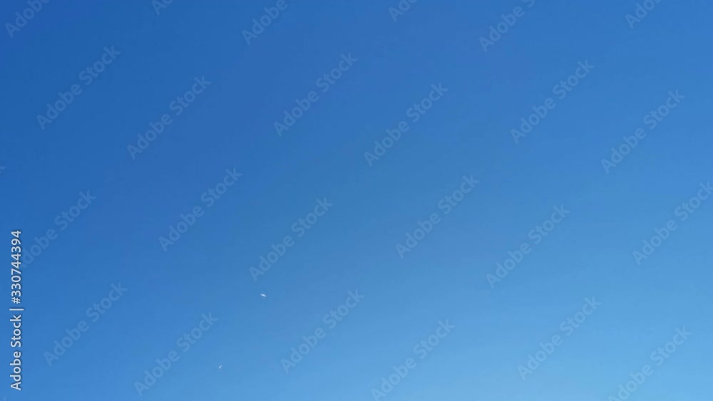 two white birds soar in the blue sky two white birds soar in the blue sky