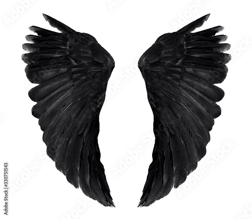 two real black angel wings with big feathers isolated on white background