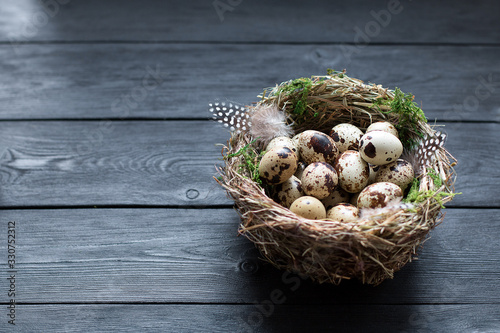 Quail Easter eggs with green moss and feathers in a nest on a black wooden table with copy space