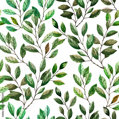Seamless botanical pattern of isolated elements of fresh leaves and twigs of olive, birch, laurel. Watercolor illustration painted by hand. Design for fabric, wallpaper, paper.