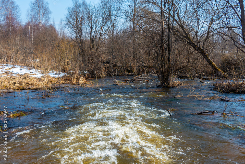 Rapid stream of melt water in spring