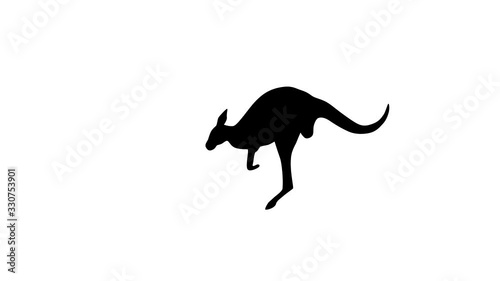 Jumping kangaroo, animation on the white background