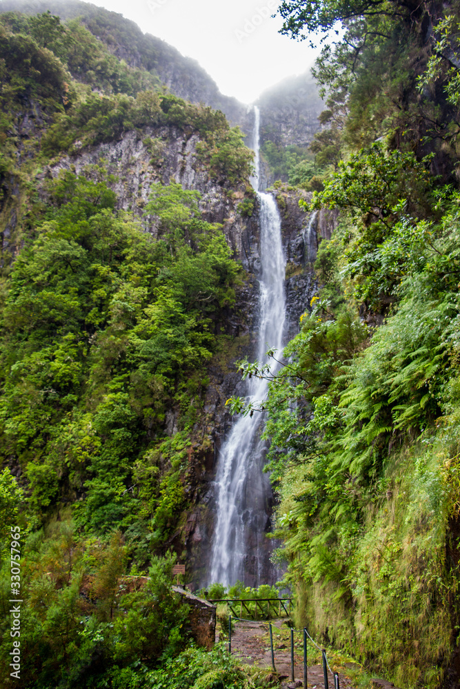 Risco waterfall on madeira island, portugal, in the middle of the tropical forest