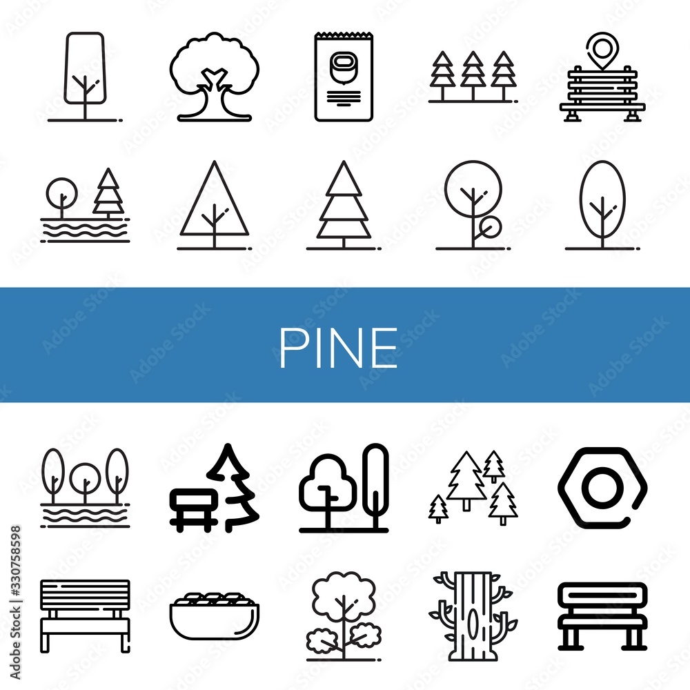 pine icon set pine icon set