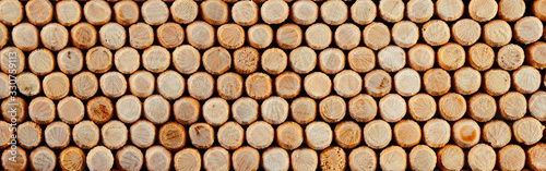 Background and texture of wooden dowels. Panorama.