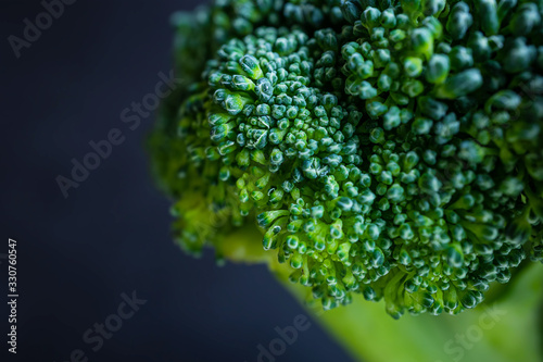 Fresh broccoli close-up. Background macro photo of food. The concept of wholesome food, veganism. Dark background. © Ольга Холявина