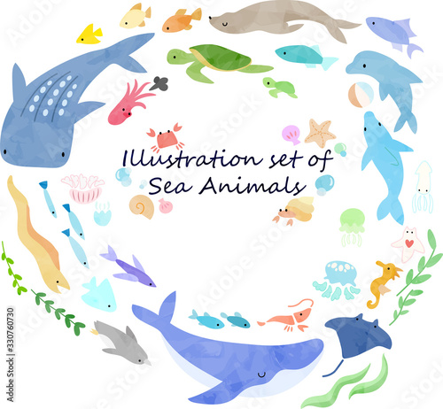 海の生き物のイラストセット(絵本風)