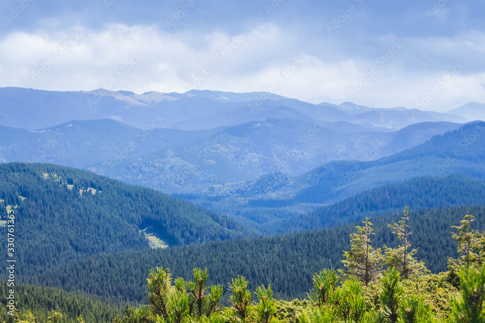 Green spruce on a background of blue mountains and cloudy sky_