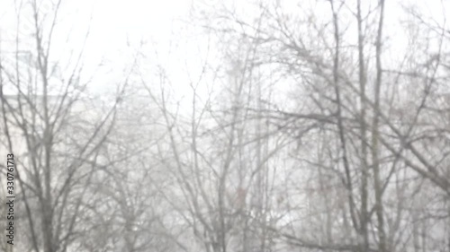 Wallpaper Mural Winter strong fast snowfall. Snow outdoors on natural background. Snowy weather during snowing winter day. Blurred abstract background. Torontodigital.ca