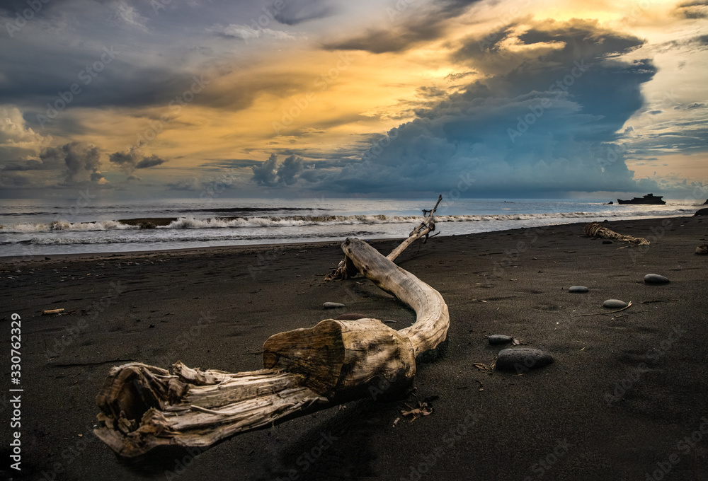 Driftwood on a beautiful beach Driftwood on a beautiful beach