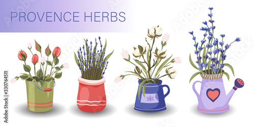 Provence floral vector set. Big flat natural flower plant bouquet collection with lavender, rose and cotton in a pot.